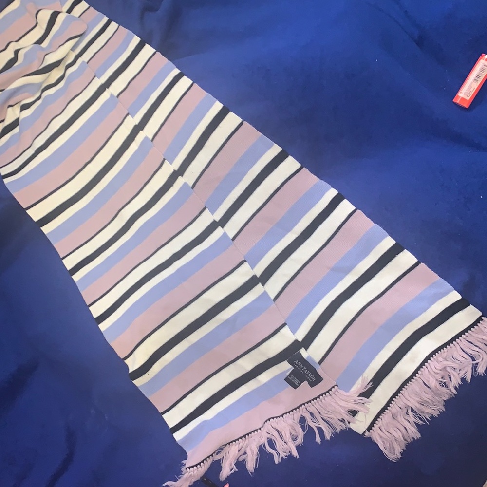 Ann Taylor scarf